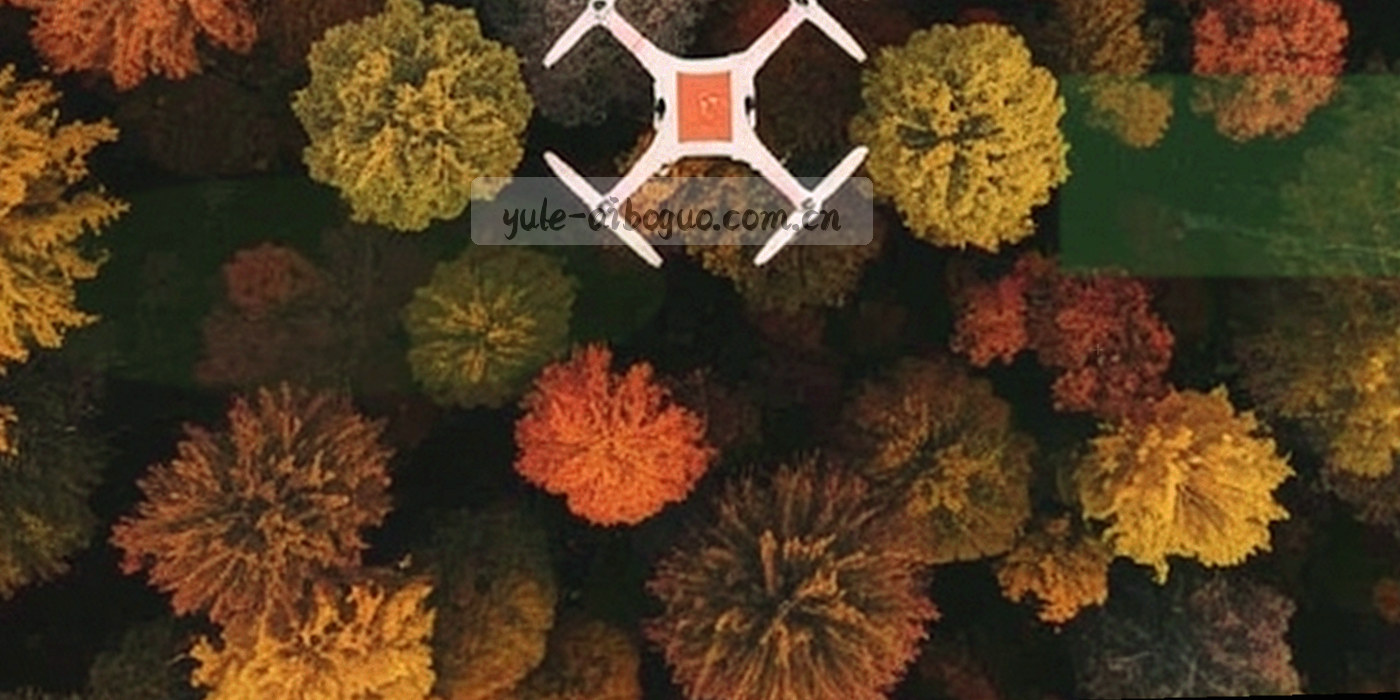 深靛色网格上一个被细线包裹的发光数据立方体，象征访客信息被有序收纳与保护